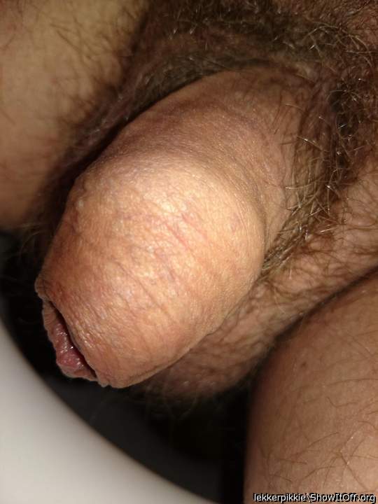 Photo of a hot dog from lekkerpikkie