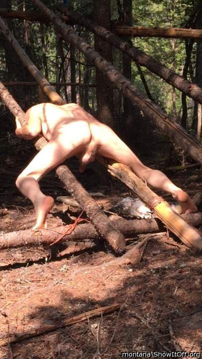 Ill fuck you right there then remove any splinters with my 