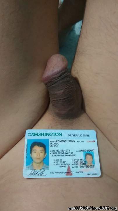 Shinji Kondo Driver license