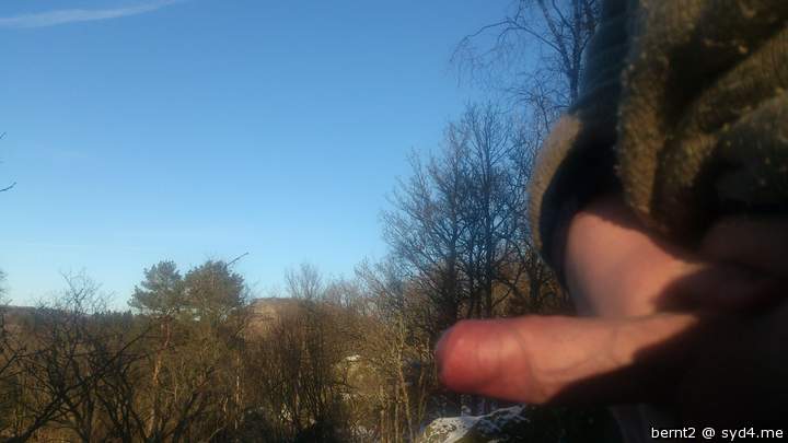 Photo of a short leg from Bernt2