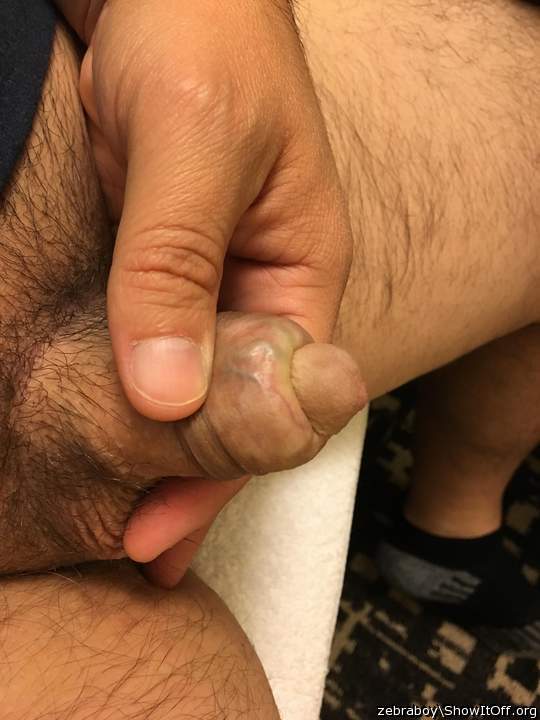 Photo of a bat from zebraboy