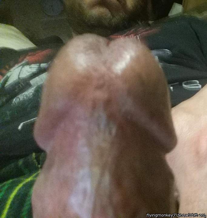 Photo of a bat from flyingmonkey7