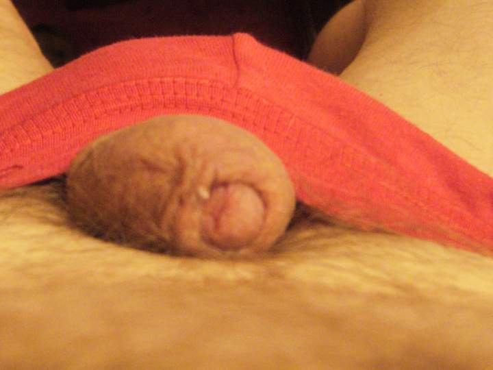 Photo of a middle leg from roman42