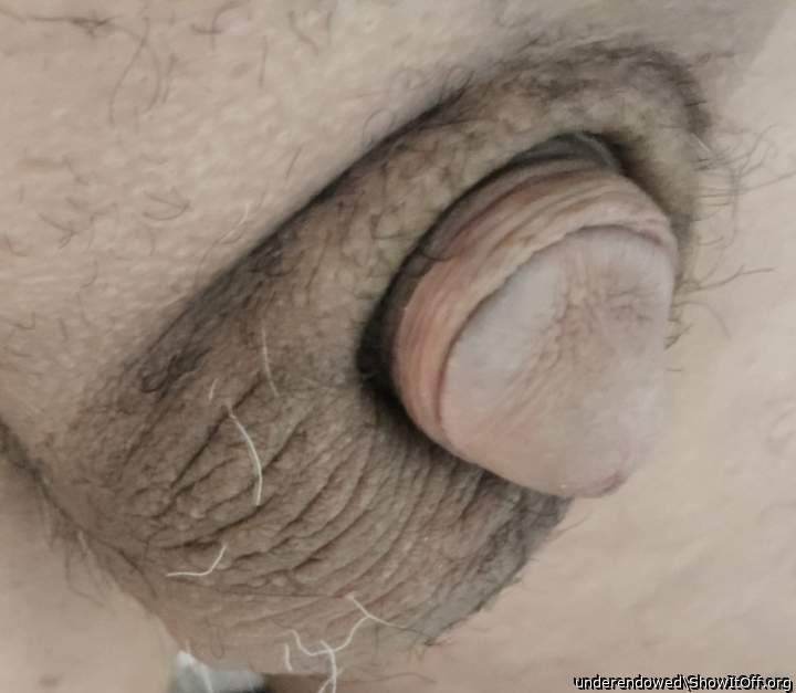 puny little dick