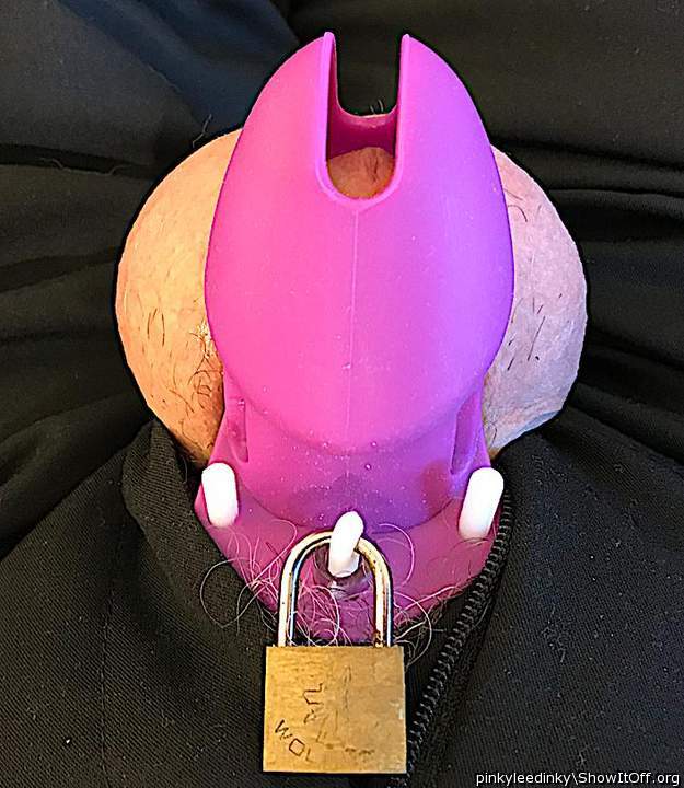 My Purple Cage