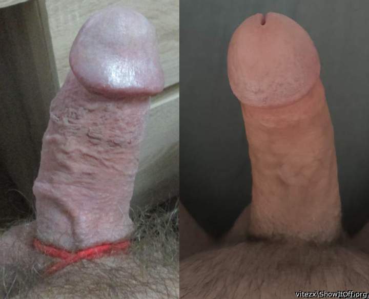 Two cocks