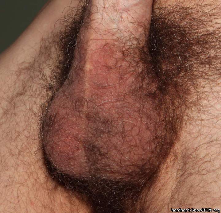 LIKE MY HAIRY BALLS