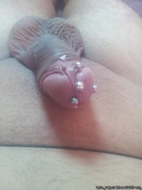 ampallang with frenulum