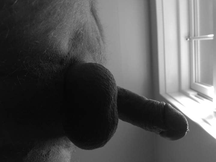 Photo of a cavalier from X5TANNED