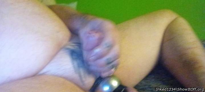 Photo of a bald-headed mouse from Inked1234