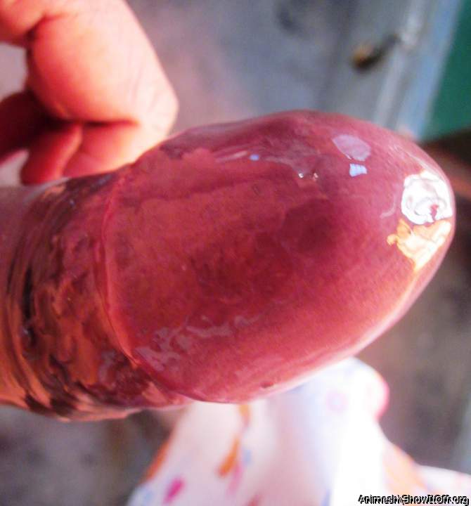 Photo of a boner from Animesh