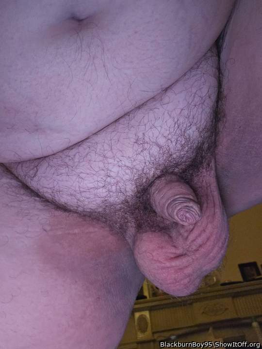 Photo of a bat from BlackburnBoy95