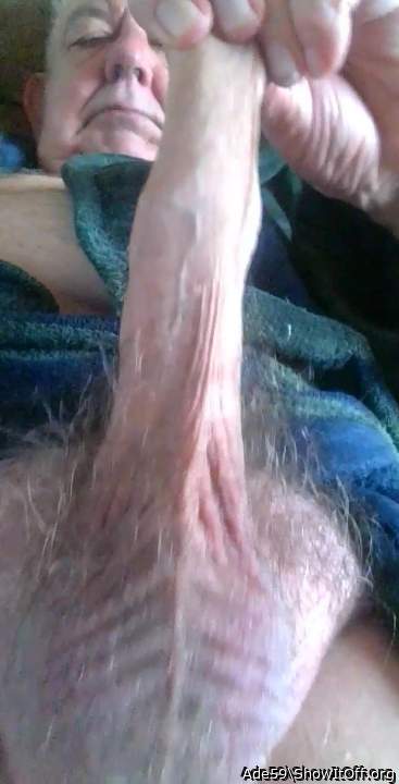 Soft is goooooood! Can I tug next?