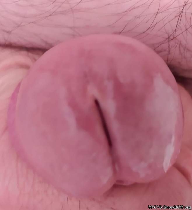 Photo of a rooster from M*C*S