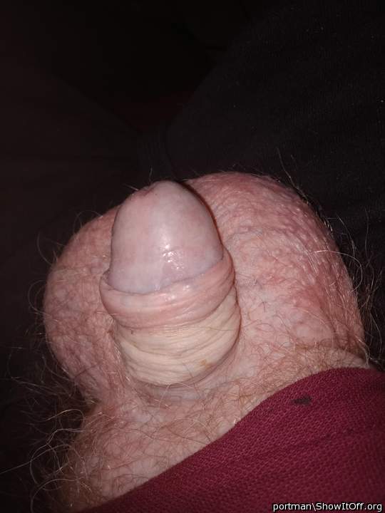 My little boy dick 