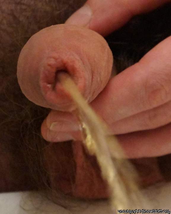 Photo of a weasel from uncutguy84