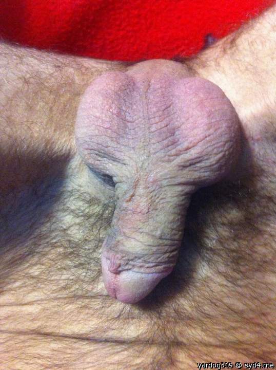 Photo of a dong from yardog319
