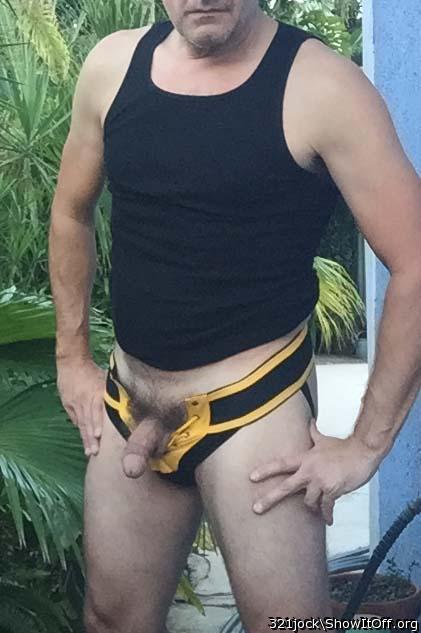 Photo of a rooster from 321jock