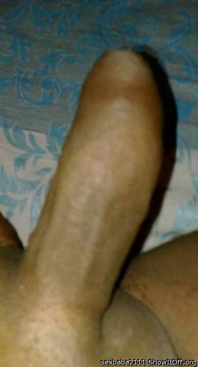 Photo of a rooster from sexbaba2111