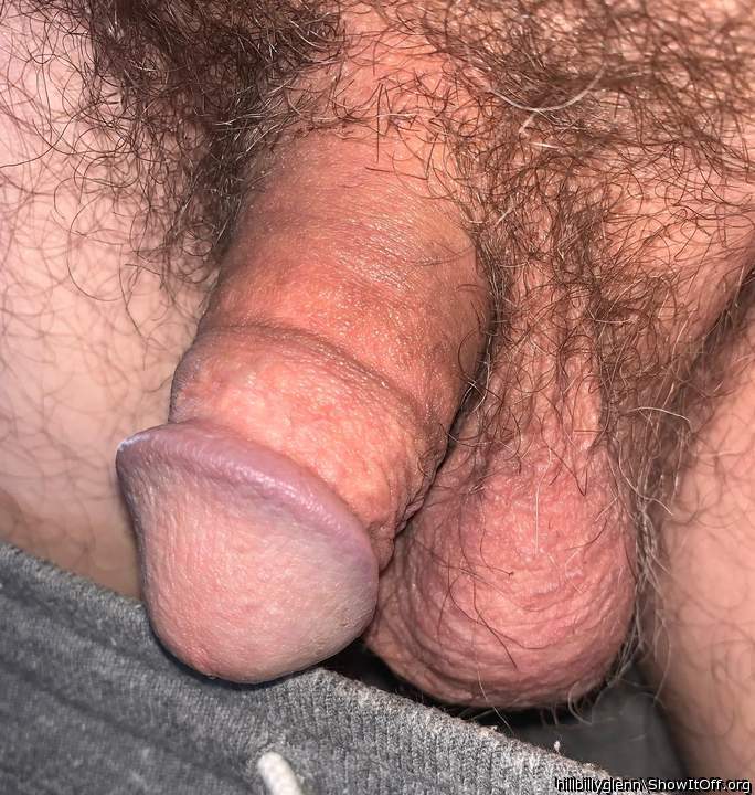 Photo of a cock from Hillbillyglenn