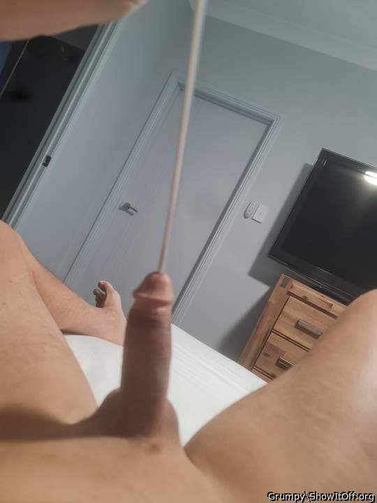 Photo of a penile from Grumpy