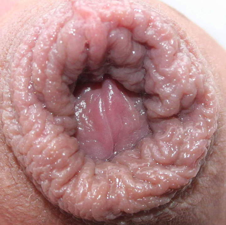 Adult image from nylonlover