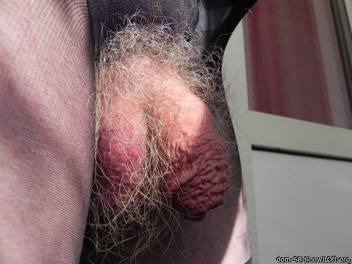 What a hairy mouthful   