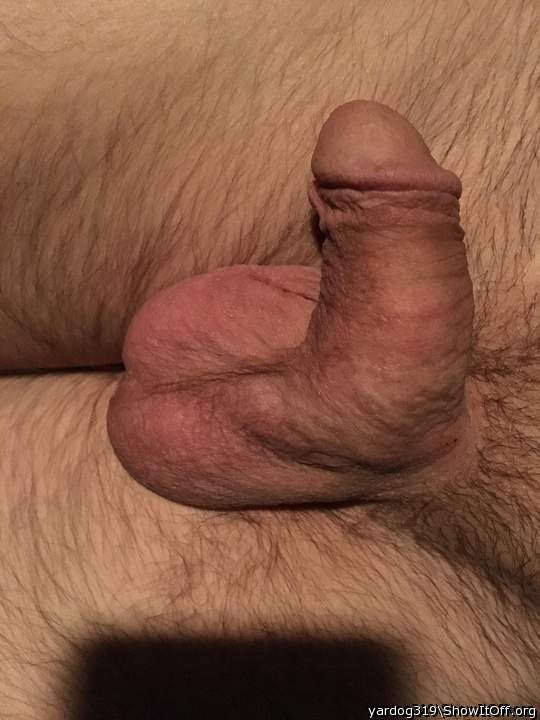 Photo of a purple headed monster from yardog319