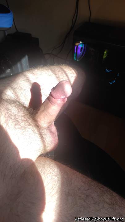 Photo of a ram rod from AttleeMS