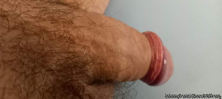 Photo of a phallus from JohnnyPenis
