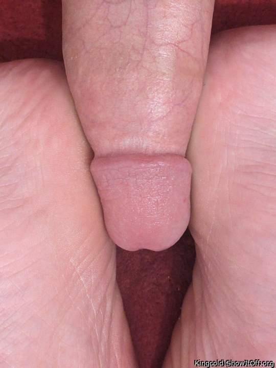 Photo of a stiffie from Kingcold