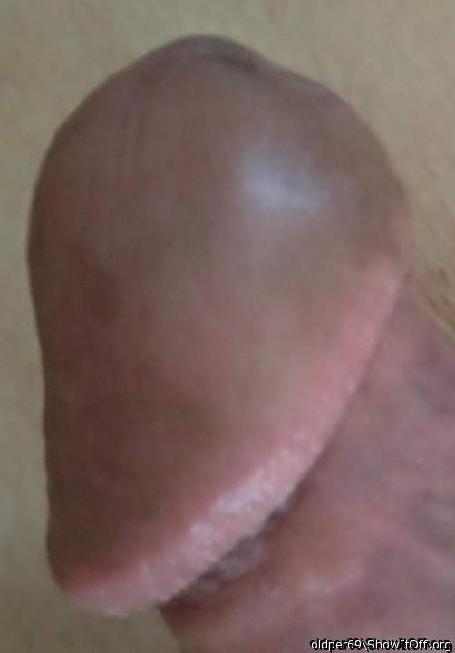 Photo of a cock from oldper69