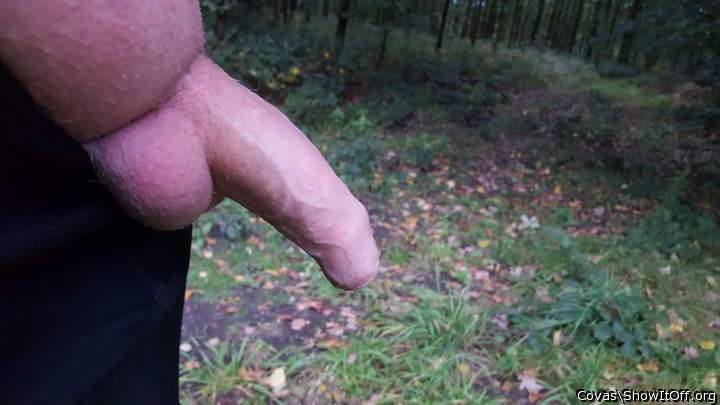 Photo of a penile from covas
