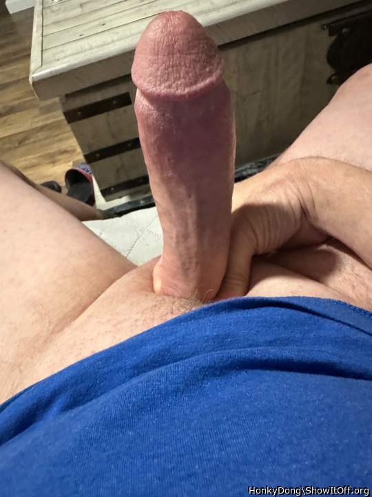Photo of a cock from HonkyDong