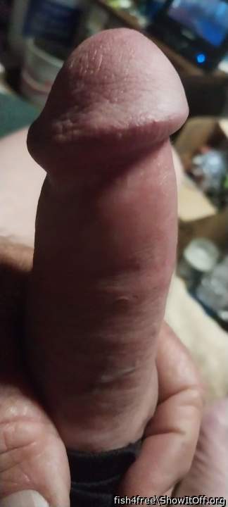 What a fabulous cock to suck on!!! 