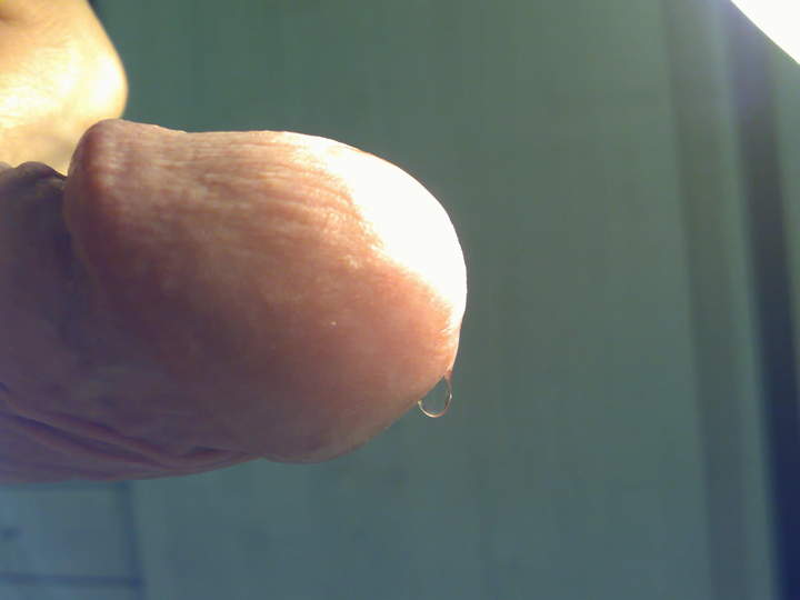 Photo of a ram rod from roccotano