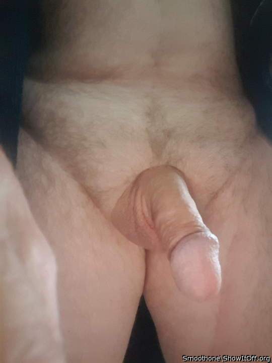 Photo of a middle leg from smoothone