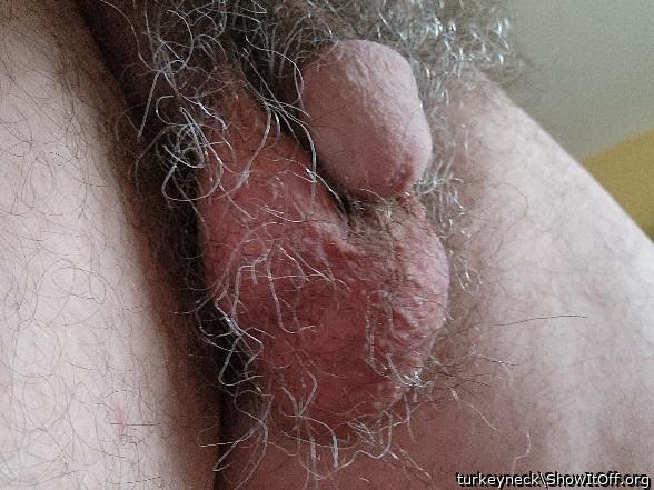 Testicles Photo from turkeyneck