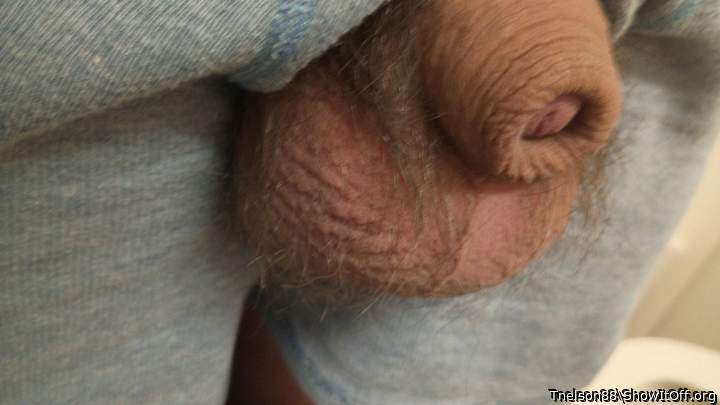 Photo of a bat from Tnelson88