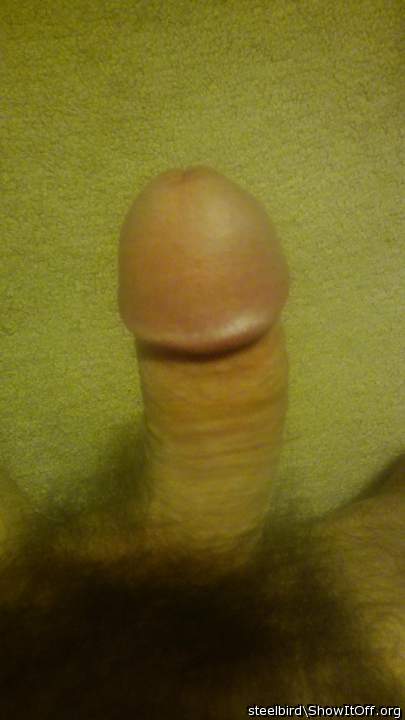 Photo of a boner from Steelbird