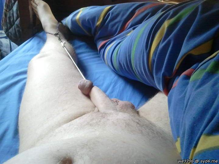 Photo of a hot dog from we3236