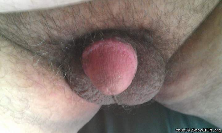 Photo of a stiffie from chub39
