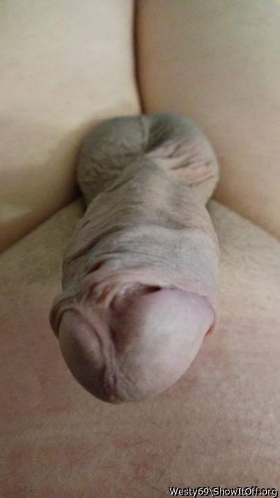 Photo of a purple headed monster from Westy69
