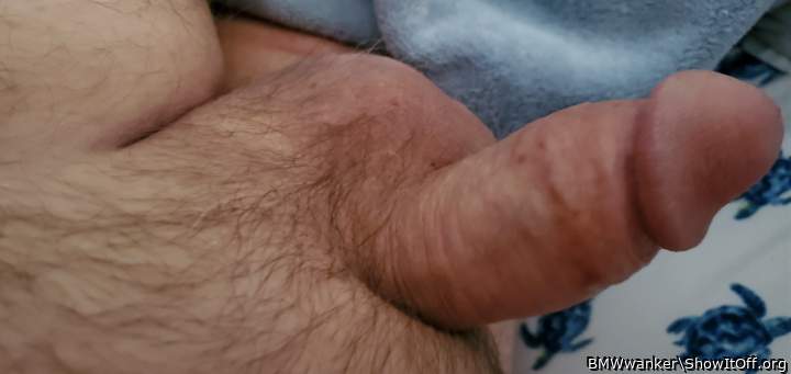 Photo of a cock from BMWwanker