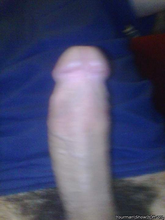 Photo of a python from Yourman