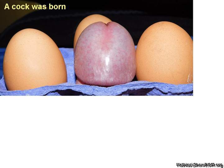 a cock was born