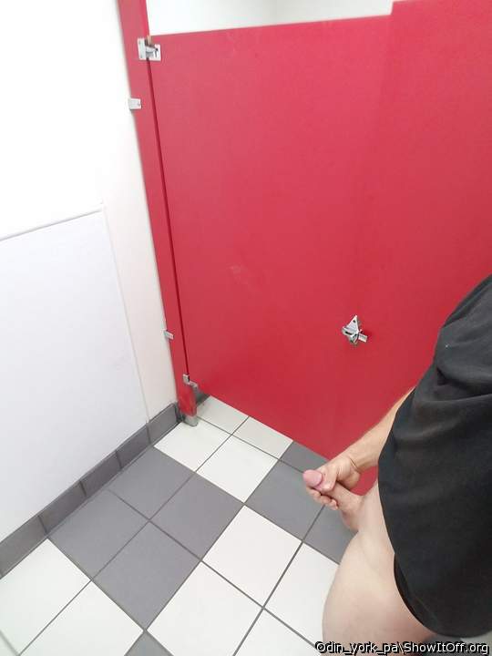 Photo of a middle leg from Odin_york_pa