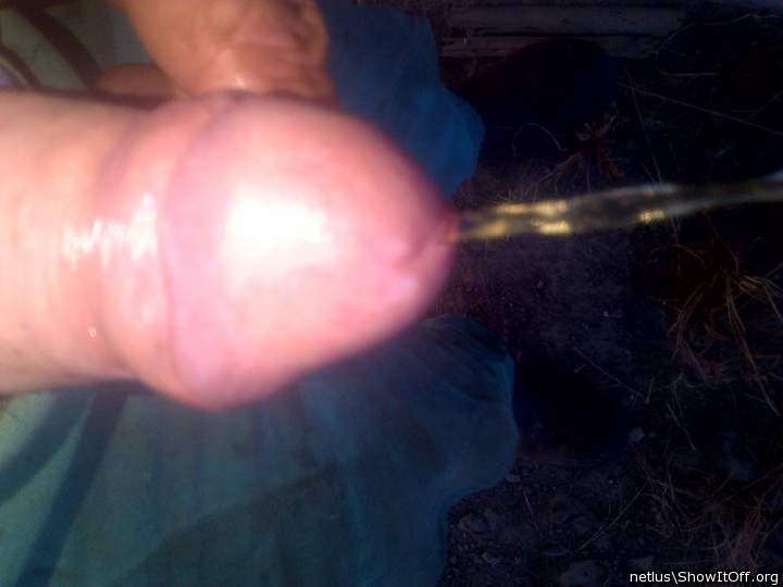 Photo of a penile from netlus