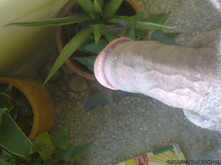 Photo of a private part from vibrator777