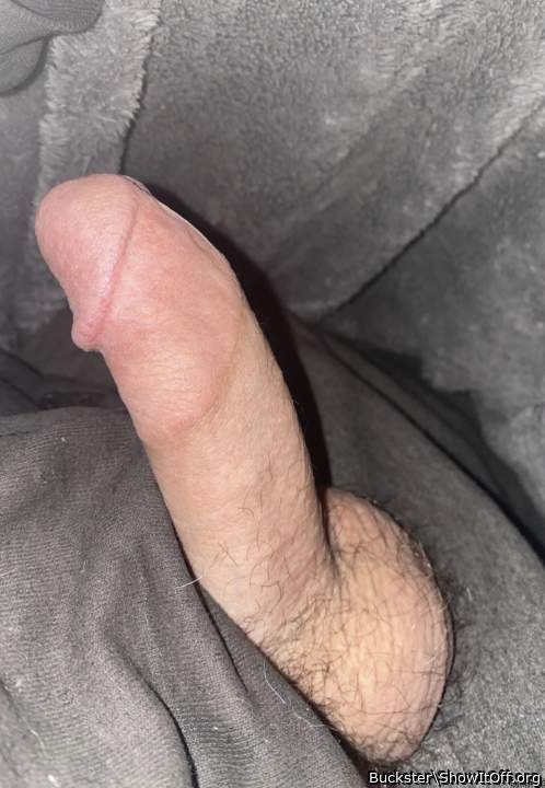 Photo of a drain pipe from Buckster